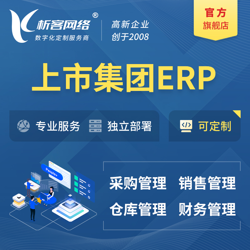 林芝上市集团ERP软件生产MES车间管理系统